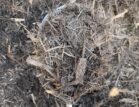 Enviro Mulch