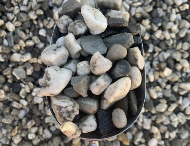 20MM Multi Pebbles