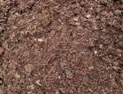 Mushroom Compost