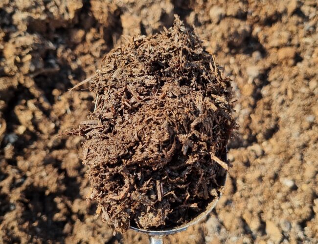 Mushroom Compost