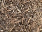 Forest Mulch