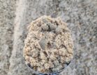 Concrete Dry Mix 14MM