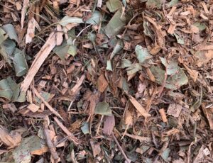 Leaf/Bush Mulch