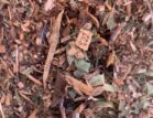 Leaf/Bush Mulch