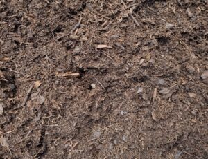 Organic Compost