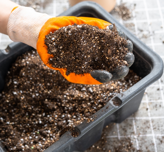 Potting Mix