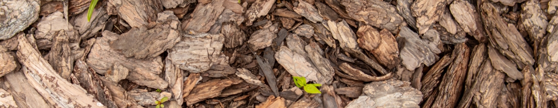 Bark Chips