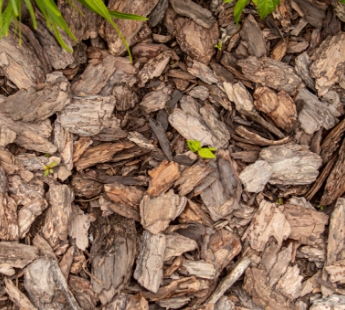 Bark Chips