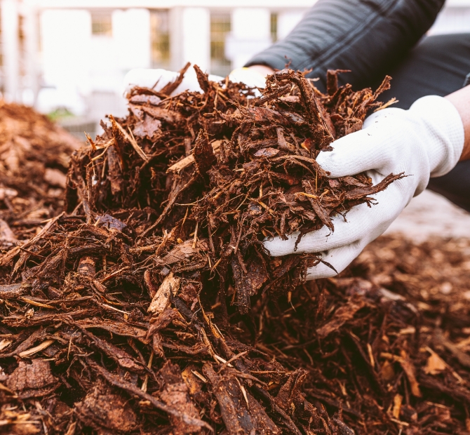 Mulch