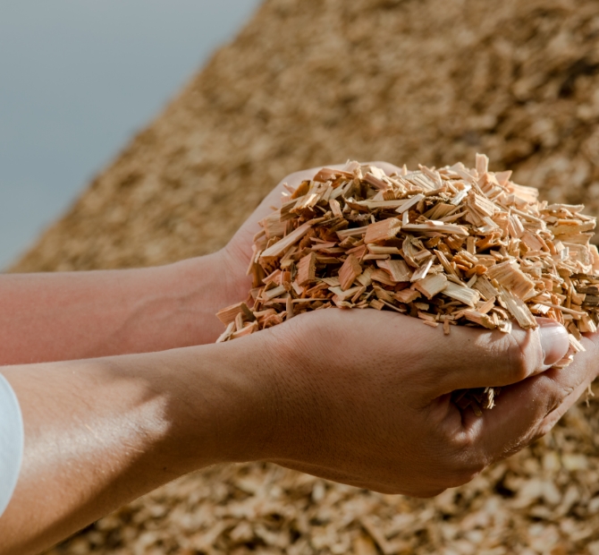 Wood Chips